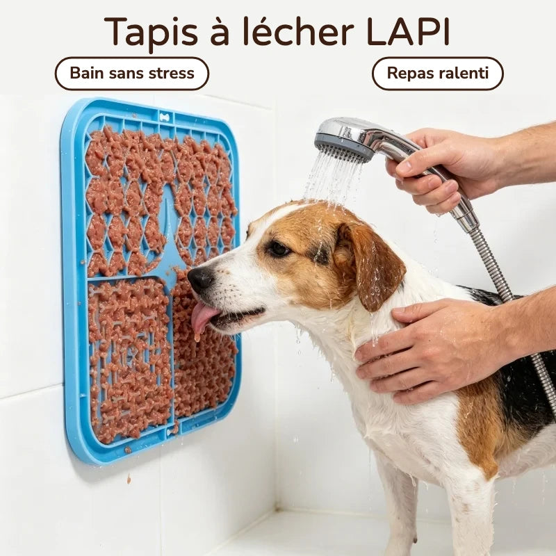 Chien qui lèche le tapis fixé au mur pendant sa douche